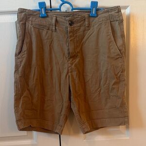American Eagle Outfitters Brown Flat Front Shorts